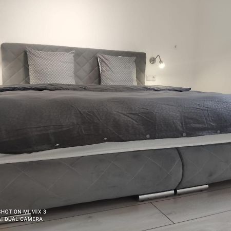 Apartalux Oradea Daire Dış mekan fotoğraf